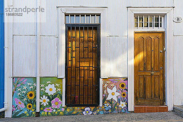 Gemaltes Wandgemälde mit bunten Blumen  Cerro Bellavista  Valparaiso  Provinz Valparaiso  Region Valparaiso  Chile  Südamerika