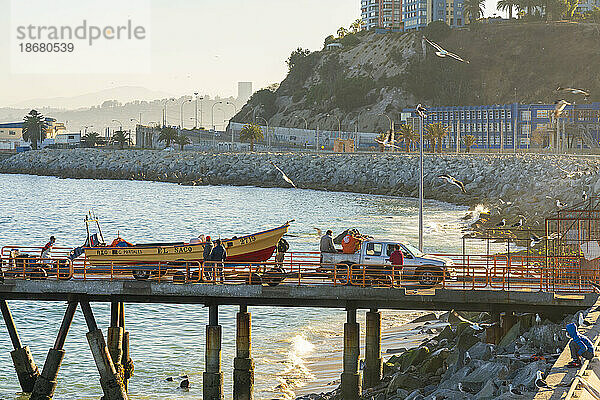 Boot wird am Pier in Caleta Portales  Valparaiso  Provinz Valparaiso  Region Valparaiso  Chile  Südamerika transportiert