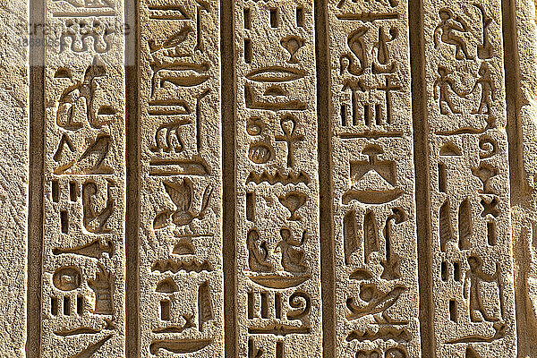 Steinschnitzereien und Hieroglyphen im Karnak-Tempel  Luxor  Theben  UNESCO-Weltkulturerbe  Ägypten  Nordafrika  Afrika