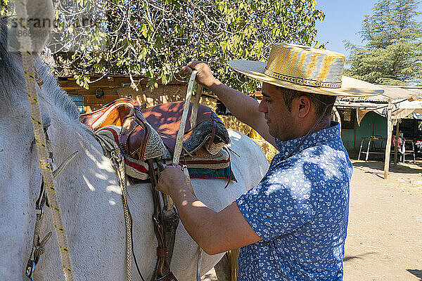 Junger chilenischer Reiter (Huaso) bereitet weißes Pferd auf Ranch  Colina  Provinz Chacabuco  Metropolregion Santiago  Chile  Südamerika vor