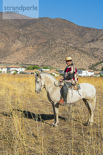 Traditionell gekleidetes Huaso-Reitpferd auf dem Feld  Colina  Provinz Chacabuco  Metropolregion Santiago  Chile  Südamerika