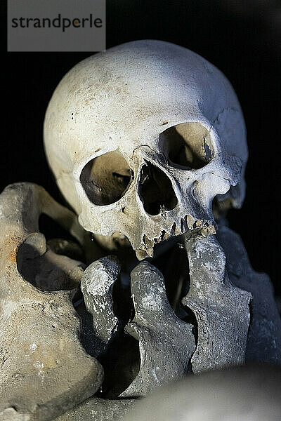 Menschlicher Schädel ausgestellt  Innenraum des Sedlec-Beinhauses  UNESCO-Weltkulturerbe  Kutna Hora  Tschechische Republik (Tschechien)  Europa