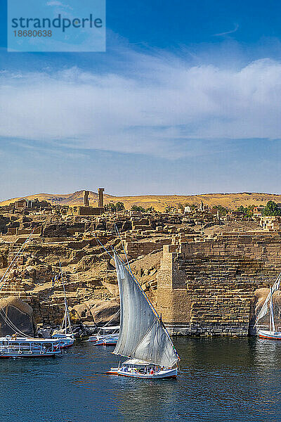 Feluccas on the River Nile  Aswan  Egypt  North Africa  Africa