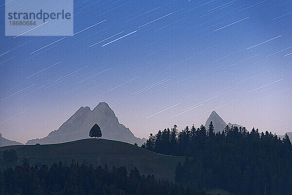 Sternspur am Nachthimmel über einem einsamen Baum auf einem Hügel und dem Schreckhorn-Gipfel  Sumiswald  Emmental  Kanton Bern  Schweiz  Europa