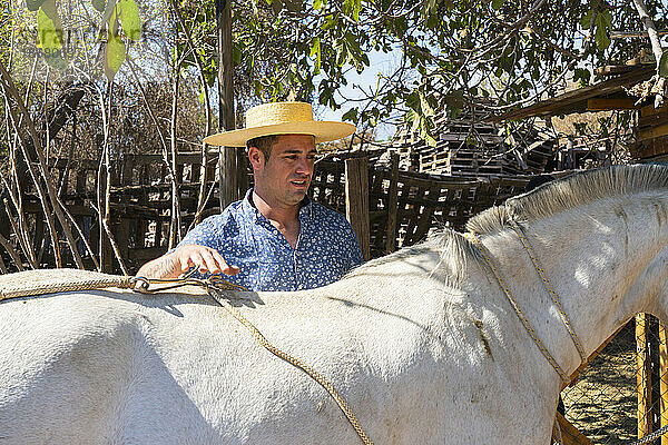 Junger chilenischer Reiter (Huaso) bereitet weißes Pferd auf Ranch  Colina  Provinz Chacabuco  Metropolregion Santiago  Chile  Südamerika vor