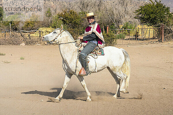 Huaso reitet auf einer Ranch an einem sonnigen Tag  Colina  Provinz Chacabuco  Metropolregion Santiago  Chile  Südamerika