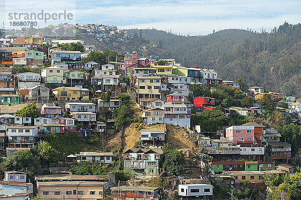 Bunte Häuser  Cerro Polanco  Valparaiso  Provinz Valparaiso  Region Valparaiso  Chile  Südamerika