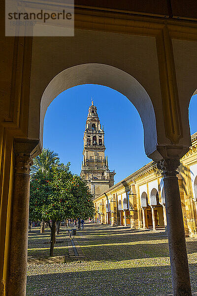 Die Moschee (Mezquita) und die Kathedrale von Cordoba und die umliegende Galerie  UNESCO-Weltkulturerbe  Cordoba  Andalusien  Spanien  Europa
