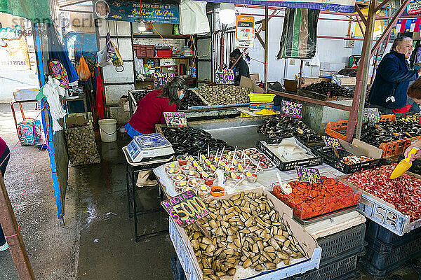 Frische Meeresfrüchte auf dem Markt  Caleta Portales  Valparaiso  Provinz Valparaiso  Region Valparaiso  Chile  Südamerika