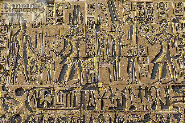Steinschnitzereien und Hieroglyphen im Karnak-Tempel  Luxor  Theben  UNESCO-Weltkulturerbe  Ägypten  Nordafrika  Afrika