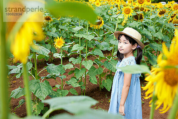 Junges japanisches Mädchen auf einem Sonnenblumenfeld