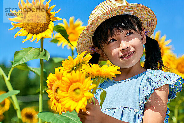 Junges japanisches Mädchen auf einem Sonnenblumenfeld