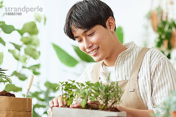 Junger japanischer Mann bei der Gartenarbeit