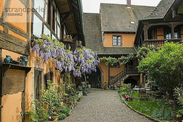 Mittelalterliche bunte Fachwerkhäuser  Bergheim  Grand Est  Haut-Rhin  Elsass  Frankreich  Europa