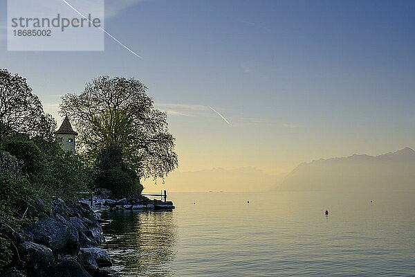 Sonnenaufgang  Saint-Prex am Genfer See im Kanton Waadt  Schweiz  Europa