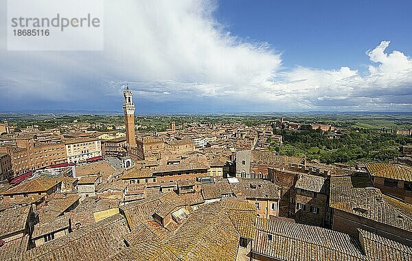 Torre del Mangia und die Dächer von Siena  Provinz Siena  Toskana  Italien  Europa