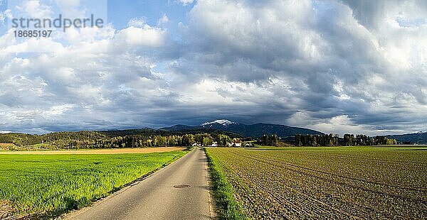 Straße zur Schlossruine Thann  hinten Gipfel von Größing und Amering  bei Großlobming  Steiermark  Österreich  Europa