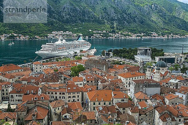 Ausblick über die Dächer der Altstadt  Kotor  Bucht von Kotor  Kreuzfahrtschiff  Montenegro  Europa