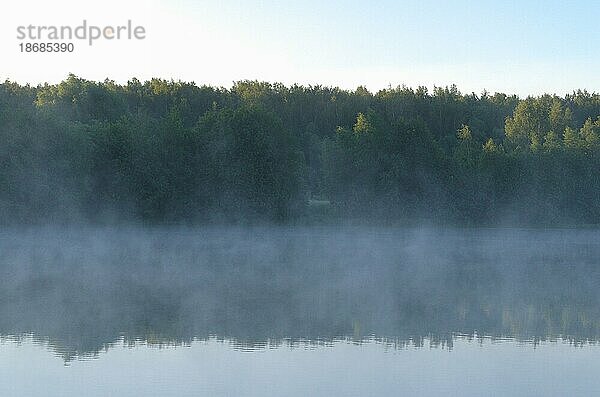 Transparenter Nebel bedeckt das Wasser. Wald in der Nähe des Sees spiegelt sich im Wasser. Früher Morgen. Heller sonniger Himmel. Klare transparente Luft. Natur Hintergrund