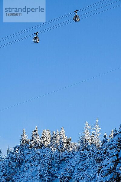 Zwei Gondeln befördert die Menschen auf den Berg. Unteres Drittel: schneebedeckte Nadelbäume auf einem Berghang. es ist strahlendd blauer Himmel  Bergbahn  gondel  Bayern  lenggries  winter  ski Oberes Drittel