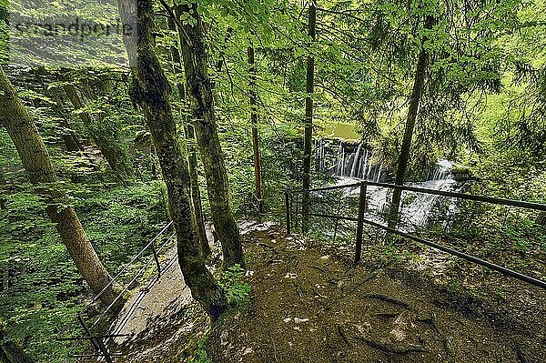 Geratser-Wasserfall  Allgäu  Bayern  Deutschland  Europa