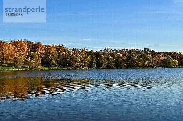 Herbstwald in der Nähe des Sees. Bäume spiegeln sich auf der Wasseroberfläche. Klarer blauer Himmel. Herbst Saison. Herbst kandscape Hintergrund