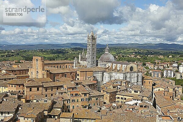 Blick auf die Dächer von Siena  in der Mitte der Dom  Provinz Siena  Toskana  Italien  Europa