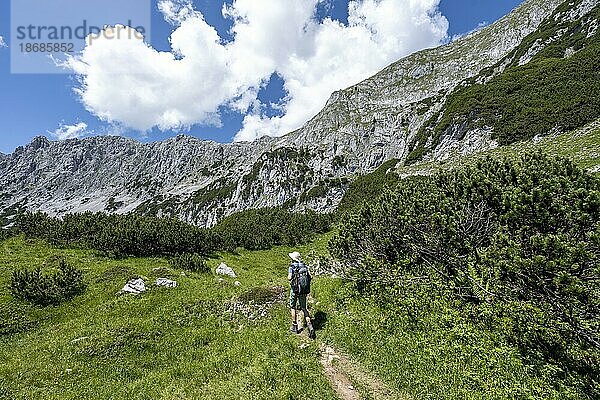 Bergsteiger beim Aufstieg zu den Hackenköpfen  Kaisergebirge  Wilder Kaiser  Kitzbühler Alpen  Tirol  Österreich  Europa