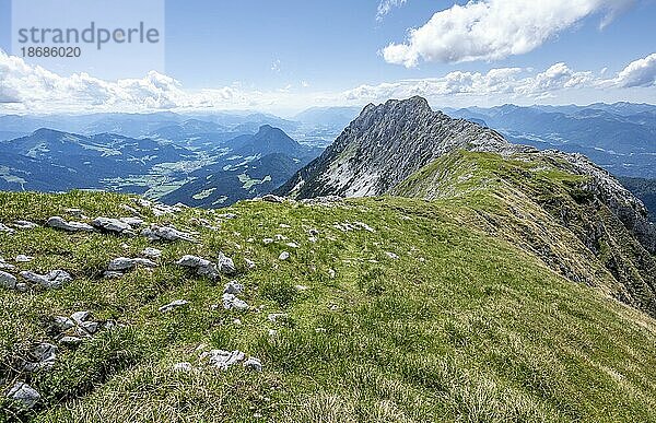 Berggrat am Wiesberg  Überschreitung der Hackenköpfe  Gratweg  Kaisergebirge  Wilder Kaiser  Kitzbühler Alpen  Tirol  Österreich  Europa