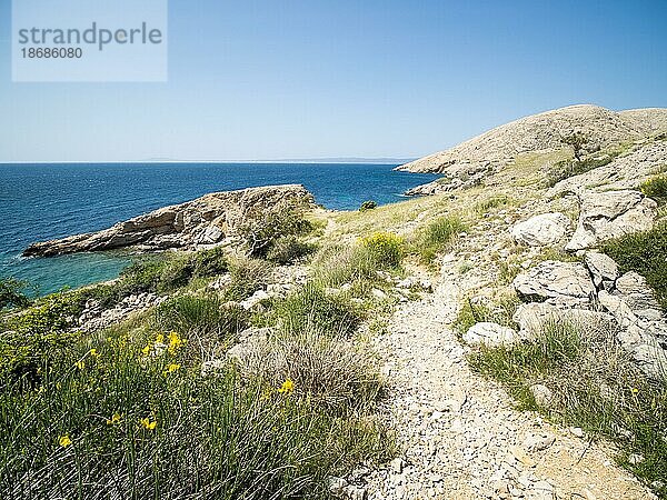 Zerklüftete Küste  Bucht bei Stara Baska  Karstberge  Insel Krk  Kvarner Bucht  Kroatien  Europa