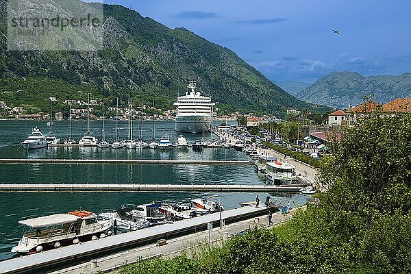 Hafen  Kreuzfahrtschiff  Altstadt von Kotor  Bucht von Kotor  Montenegro  Europa