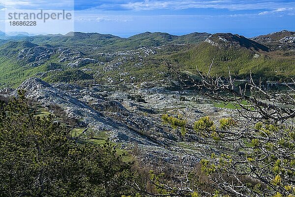 Blick auf den Lovcen Nationalpark in 1700 Meter Höhe  Montenegro  Europa