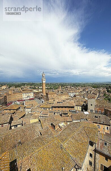 Torre del Mangia und die Dächer von Siena  Provinz Siena  Toskana  Italien  Europa