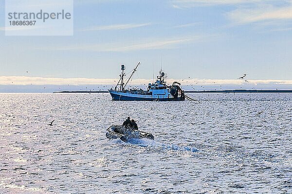 Männer in einem Schlauchboot auf dem Weg zu einem Fischerboot im arktischen Meer  Svalbard  Norwegen  Europa