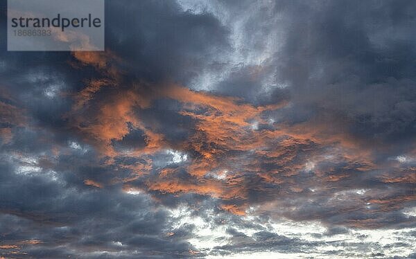 Dramatische Wolken bei Sonnenuntergang  Bodø  Nordland  Norwegen  Europa