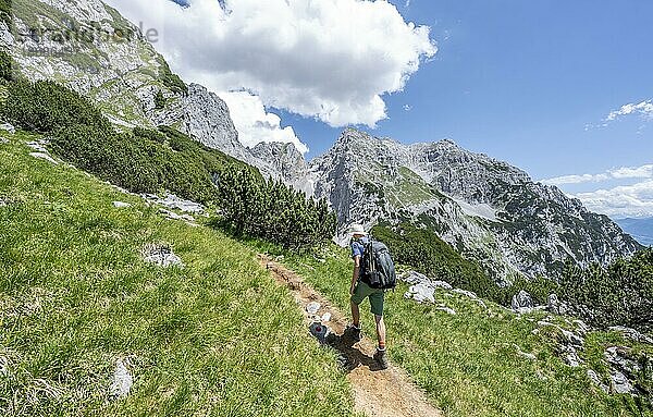 Bergsteiger beim Aufstieg zu den Hackenköpfen  Kaisergebirge  Wilder Kaiser  Kitzbühler Alpen  Tirol  Österreich  Europa