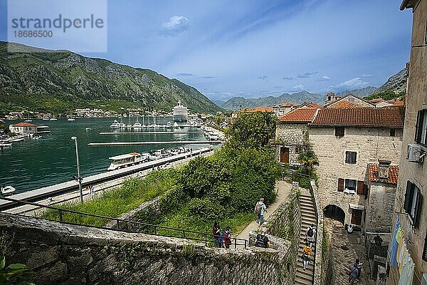 Hafen  Kreuzfahrtschiff  Altstadt von Kotor  Bucht von Kotor  Montenegro  Europa