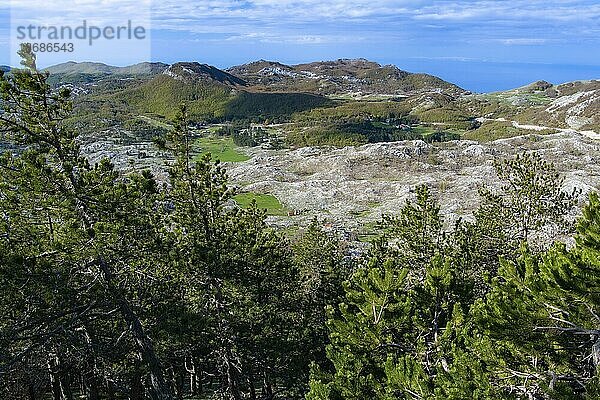 Blick auf den Lovcen Nationalpark in 1700 Meter Höhe  Montenegro  Europa