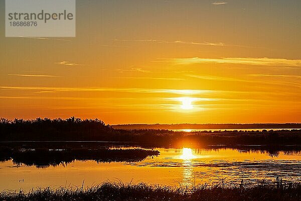 Schöner Sonnenuntergang an einem Seeufer mit Wasserspiegelungen  Hornborgasjön  Schweden  Europa