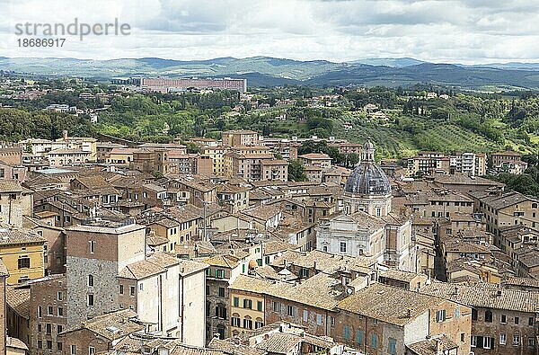 Blick über die Dächer von Siena  Provinz Siena  Toskana  Italien  Europa