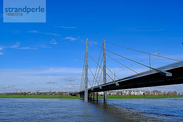 Ausblick über den Rhein mit Brücke  Düsseldorf  Deutschland  Europa