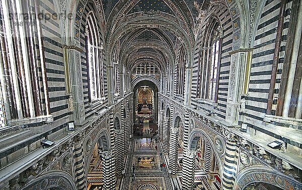 Dom von Siena oder Cattedrale Metropolitana di Santa Maria Assunta  Innenaufnahme  Provinz Siena  Toskana  Italien  Europa