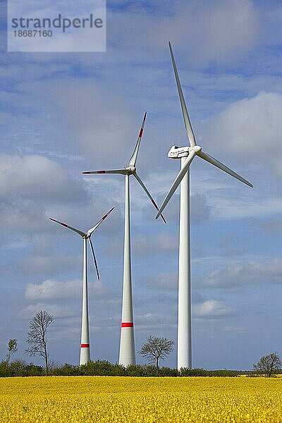Windturbinen im Windpark