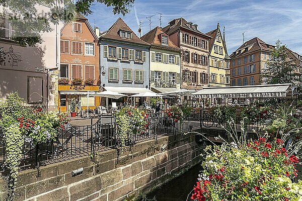 Die Grand Rue in der Altstadt von in Colmar  Elsass  Frankreich  Europa