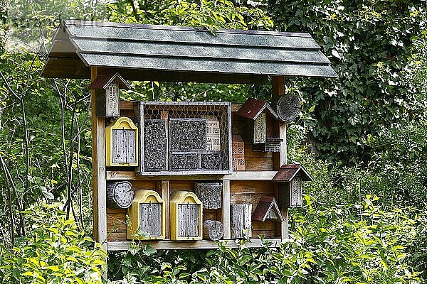 Insektenhotel  Wildbienenhotel  Botanischer Garten Hamburg  Deutschland  Europa