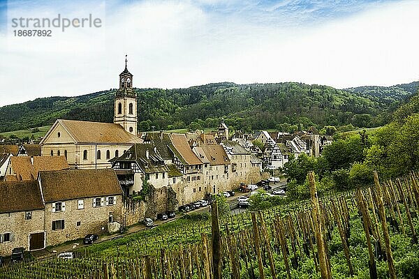 Mittelalterliches Dorf in den Weinbergen  Riquewihr  Grand Est  Haut-Rhin  Elsass  Frankreich  Europa