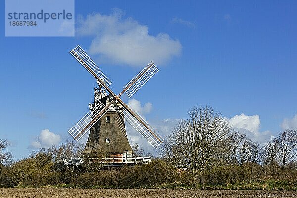 Windmühle in Oldsum auf der Insel Föhr im Kreis Nordfriesland  Nordfriesland  Schleswig Holstein  Deutschland  Europa