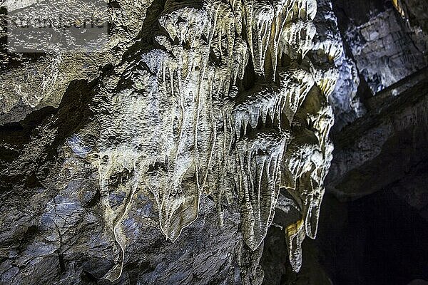 Flussstein  Höhlenvorhänge  flächige Ablagerungen von Kalzit  die von der Decke in den Höhlen von Han sur Lesse  Grottes de Han  Ardennen  Belgien  hängen  Europa