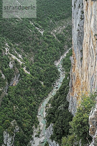 Blick in die Gorges du Verdon  Schlucht des Verdon vom Aussichtspunkt an der Route des Crêtes  Alpes de Haute Provence  Provence Alpes Côte d'Azur  Frankreich  Europa