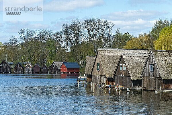 Stadt Röbel  Müritz  reetgedeckte Bootshäuser  Seeufer  Steg  blauer Himmel  Mecklenburg-Vorpommern  Mecklenburgische Seenplatte  Deutschland  Europa